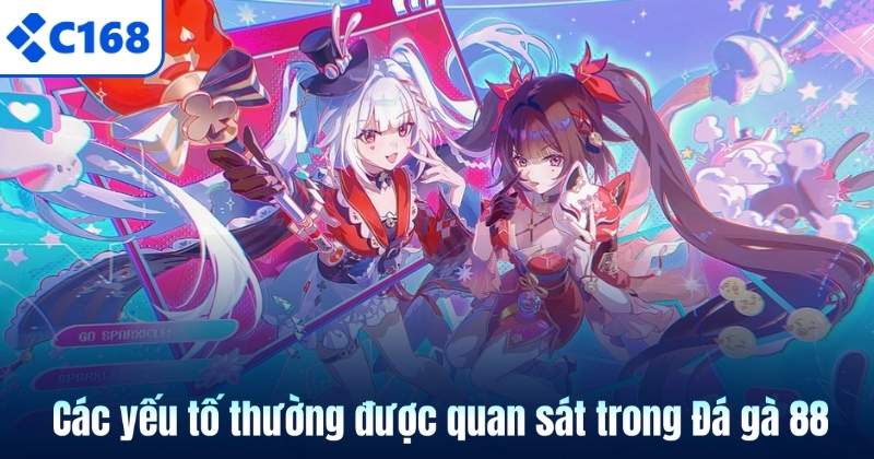 Các yếu tố thường được quan sát trong Đá gà 88