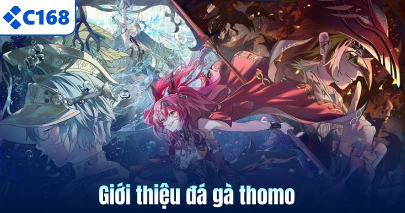 Giới thiệu đá gà thomo