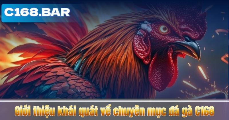 Giới thiệu khái quát về chuyên mục đá gà C168